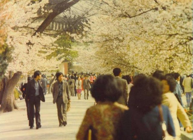 Ít ai ngờ, cuộc sống ở Seoul cuối thập niên 1970 là thế này