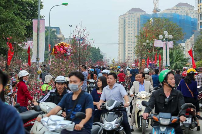 Quất, đào 'đại hạ giá' tràn ngập phố Hà Nội ngày 30 Tết