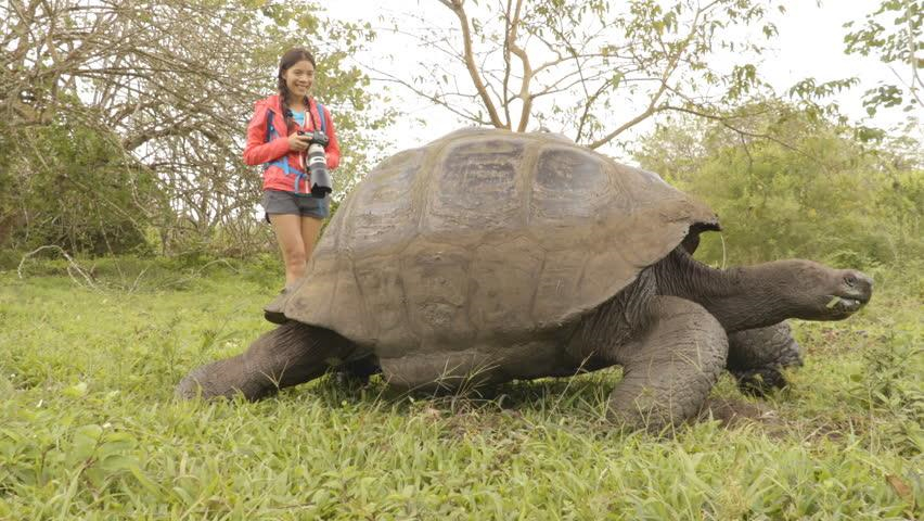 Loạt sinh vật lạ ai cũng muốn "đụng" khi thám hiểm Galapagos