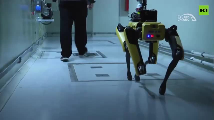 Video: Chó robot theo dõi nhiễm xạ ở Chernobyl 