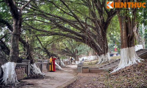 Vẻ đẹp huyền ảo ngôi đền trấn giữ phía Tây Hà Nội