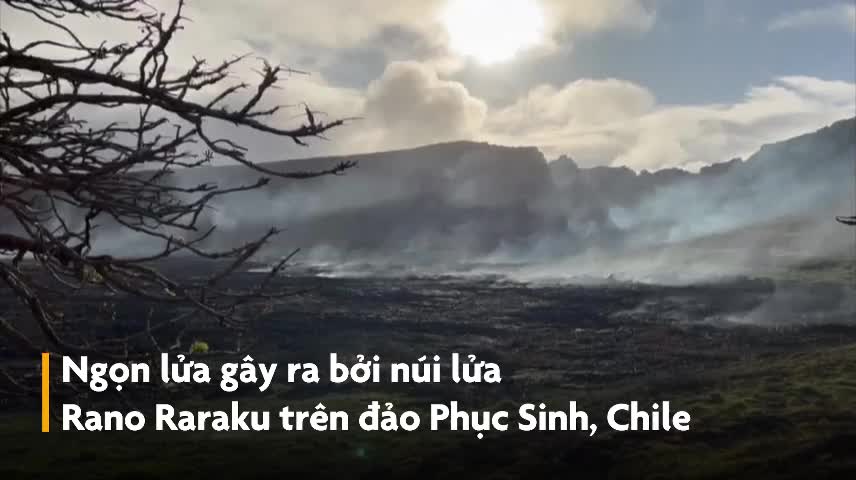 Video: Tượng đá trên đảo Phục Sinh hỏng nặng do cháy rừng