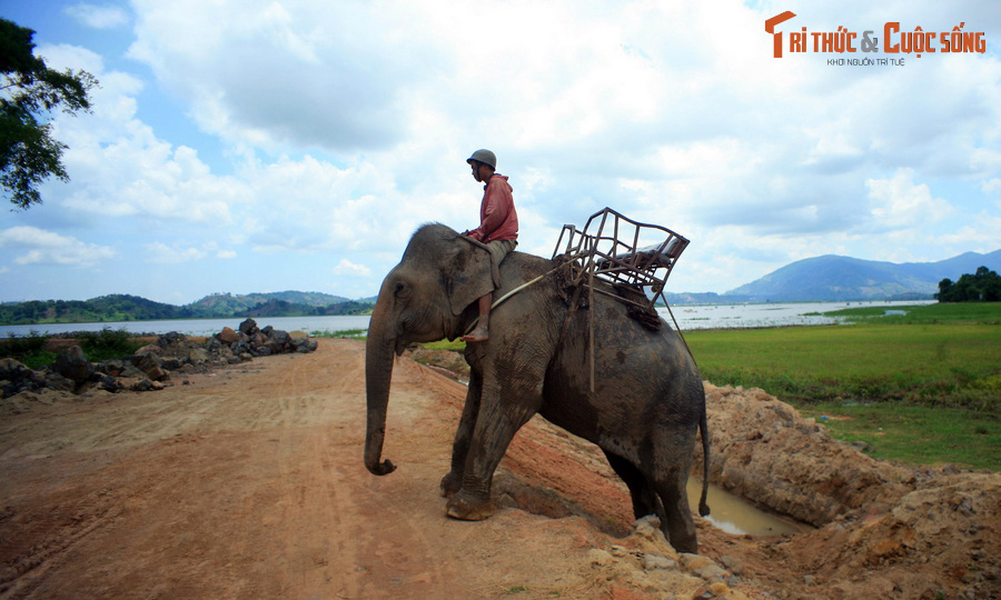 Loạt khoảnh khắc khó quên trên các cung đường Tây Nguyên