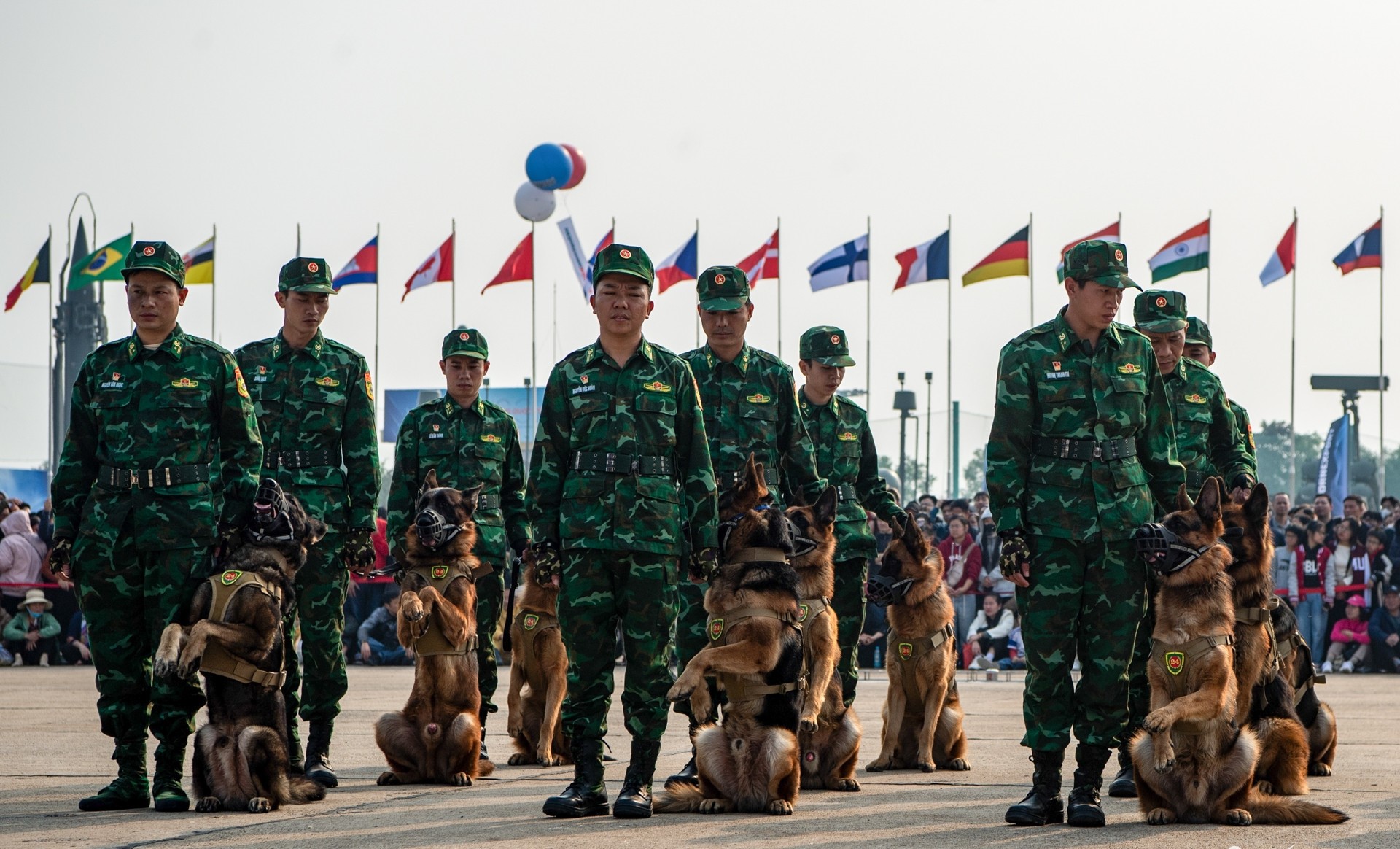 Trầm trồ màn vượt lửa của những cảnh khuyển tại Triển lãm Quốc phòng