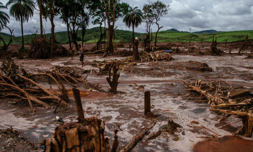 Thảm họa môi trường tồi tệ nhất ở Brazil qua ảnh