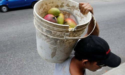 Mùa xoài cứu đói ở Venezuela