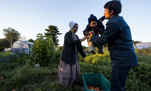 Ảnh: Cộng đồng Amish khước từ lối sống hiện đại ở Mỹ