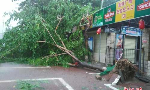 Siêu bão Sarika tàn phá Hải Nam trước khi vào Việt Nam