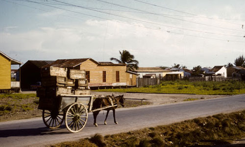 Đất nước Cuba những năm 1950 qua ảnh