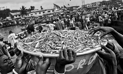 Ghé thăm làng chài ở Ghana qua ảnh