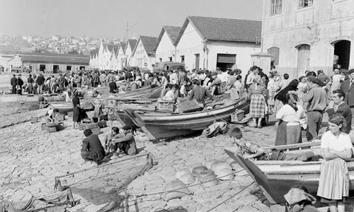 Làng chài ở Bồ Đào Nha thập niên 1950 qua ảnh