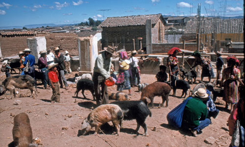 Trở lại với đất nước Guatemala hồi thập niên 1970