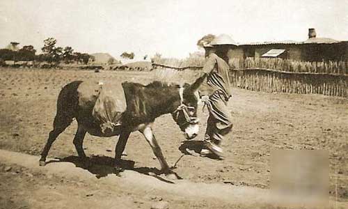 Loạt ảnh hiếm hoi về thành phố Thiên Tân thập niên 1920 