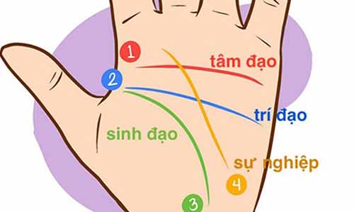 Video: Có 1 trong 4 đường chỉ tay này chắc chắn tài lộc như nước, may mắn cả đời