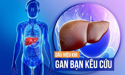 Video: Cách tự xem gan của bạn khỏe hay yếu chỉ trong 1 phút