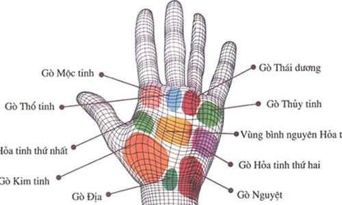 Video: Xem các gò trên lòng bàn tay biết ngay giàu có hay nghèo hèn