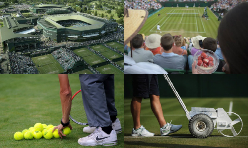 Wimbledon và những con số không phải ai cũng biết