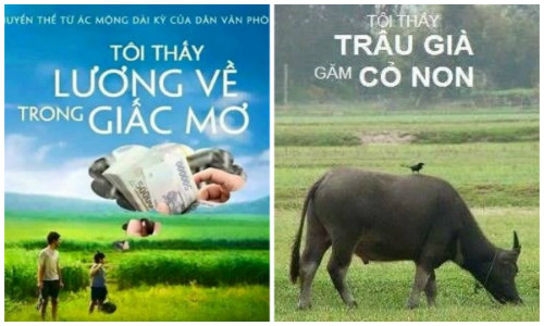 Cười ngất với ảnh chế “Tôi thấy hoa vàng trên cỏ xanh“