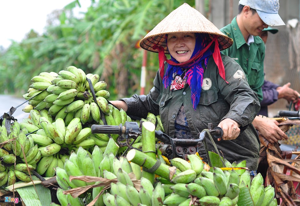 Ảnh: Mùa thu hoạch trên núi đá ở “vương quốc chuối” Việt Nam