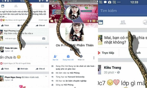 Dân mạng tức điên với trò lừa con rắn trên Facebook