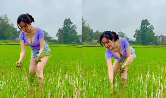 Đi dặm lúa, bà Tưng để lộ vòng một "ná thở"