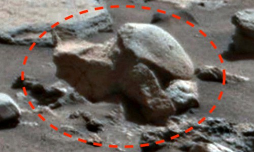 Bí ẩn vật thể như hóa thạch rùa cổ trên sao Hỏa