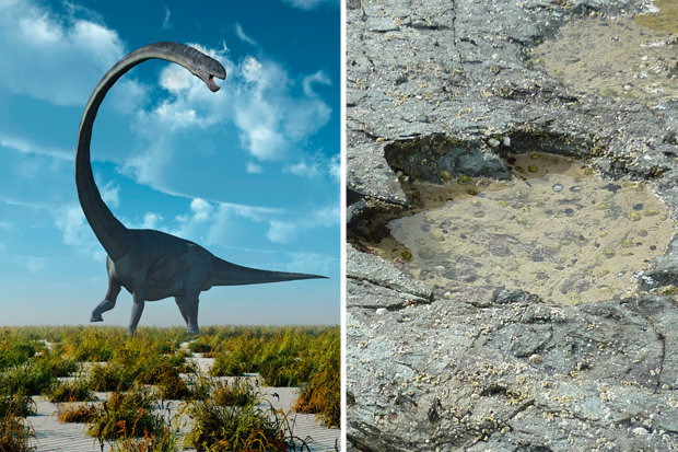 Tận mắt nhìn dấu chân khủng long ăn thịt sống cách đây 120 triệu năm