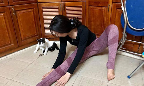 Mải tập Yoga, quay lại cô gái phát hiện mèo lén làm điều khó ngờ