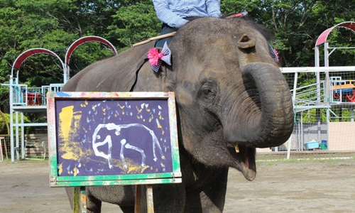 Kinh ngạc trước chân dung tự họa của voi ở Nhật Bản