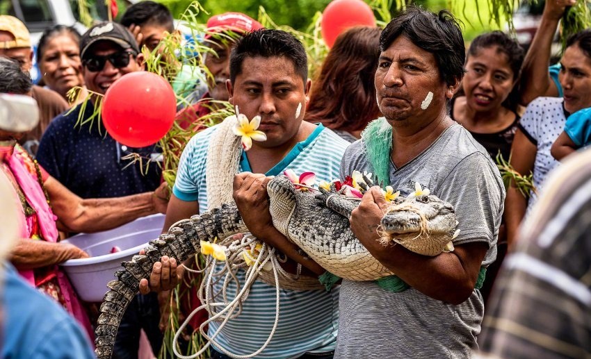 Kỳ quặc đám cưới của Thị trưởng Mexico và cá sấu