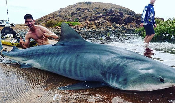 Kịch tính chàng trai khuất phục cá mập hổ 4m suốt 3 tiếng