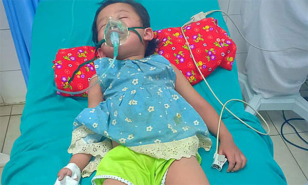 Sau 5 phút bị kiến đốt, bé 3 tuổi ở Tuyên Quang sốc phản vệ