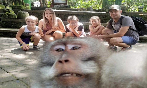 Khách chụp ảnh gia đình, khỉ “thành tinh” lao đến chiếm sóng