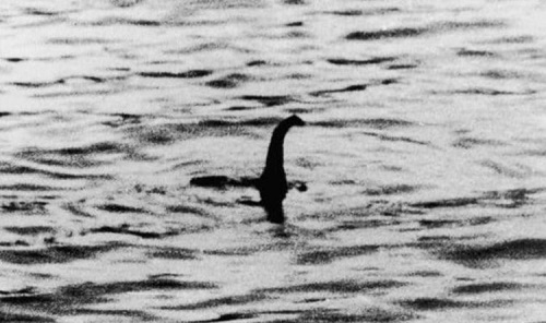 Huyền thoại quái vật hồ Loch Ness: Chứng thực sự tồn tại?