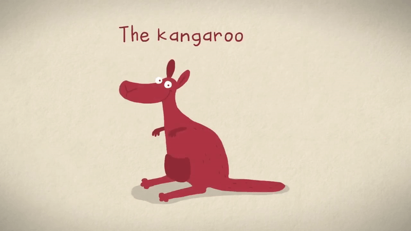 Tại sao kangaroo mẹ lại nuôi con trong túi?