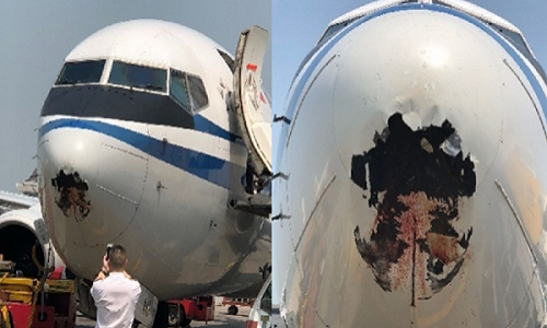 Máy bay bị đâm thủng mũi chỉ bởi... một con chim
