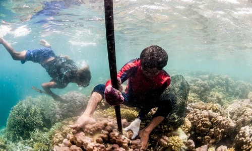 Ngoài lá lách "khủng" hơn người thường, người Bajau có gì để thành "người cá"?