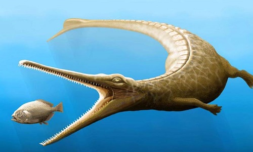 "Con lai" giữa cá sấu và cá heo cổ đại trông thế nào?