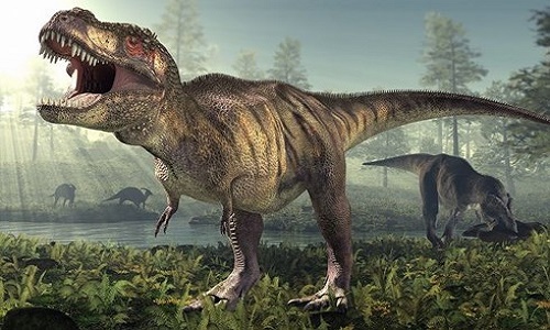 Hàng trăm dấu chân khủng long "khủng" tiết lộ điều thú vị