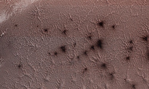 Sửng sốt hình ảnh như "quái thú" lông lá trên sao Hỏa