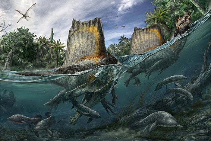 Loài khủng long "kỳ cục" săn cá như thần mà không thể bơi