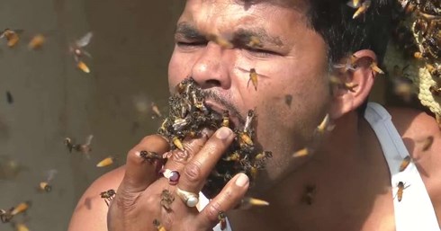 Hãi hùng người đàn ông "nhốt" ong vào miệng khi lấy mật