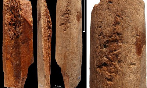 Dụng cụ bằng xương 115.000 năm tuổi khiến giới khoa học ngỡ ngàng