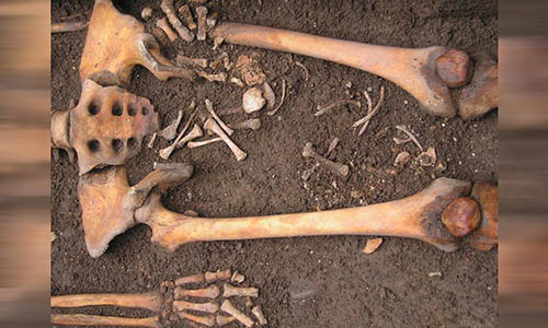 Phát hiện sản phụ trung cổ vẫn sinh con dưới mộ sau khi chết