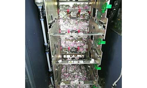 Chuột gặm nát 400 triệu đồng trong máy ATM