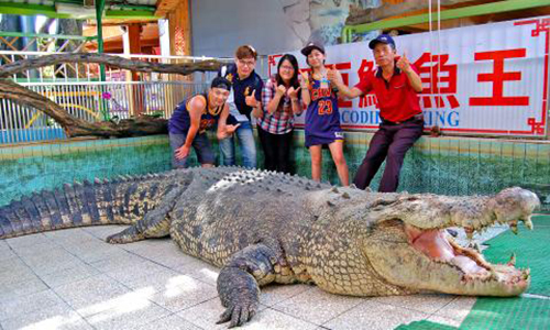Cá sấu lớn nhất ở châu Á bị khách TQ ném chảy máu