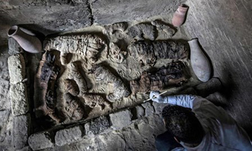 Ghê rợn hàng chục xác ướp mèo, bọ hung trong mộ cổ Ai Cập