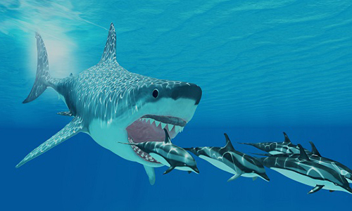 Hé lộ thủ phạm thật sự khiến cá mập khổng lồ thời tiền sử tuyệt chủng