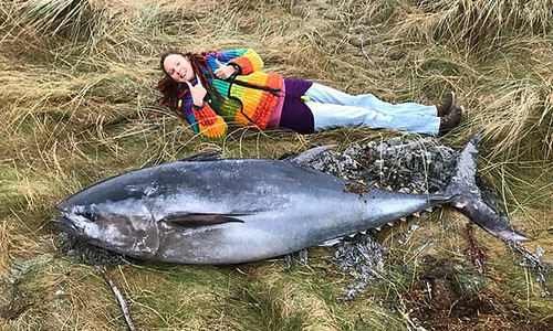 Kinh ngạc cá ngừ khổng lồ “bay” vào bờ biển Anh