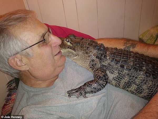 Bí kíp biến cá sấu thành bạn của người đàn ông 65 tuổi